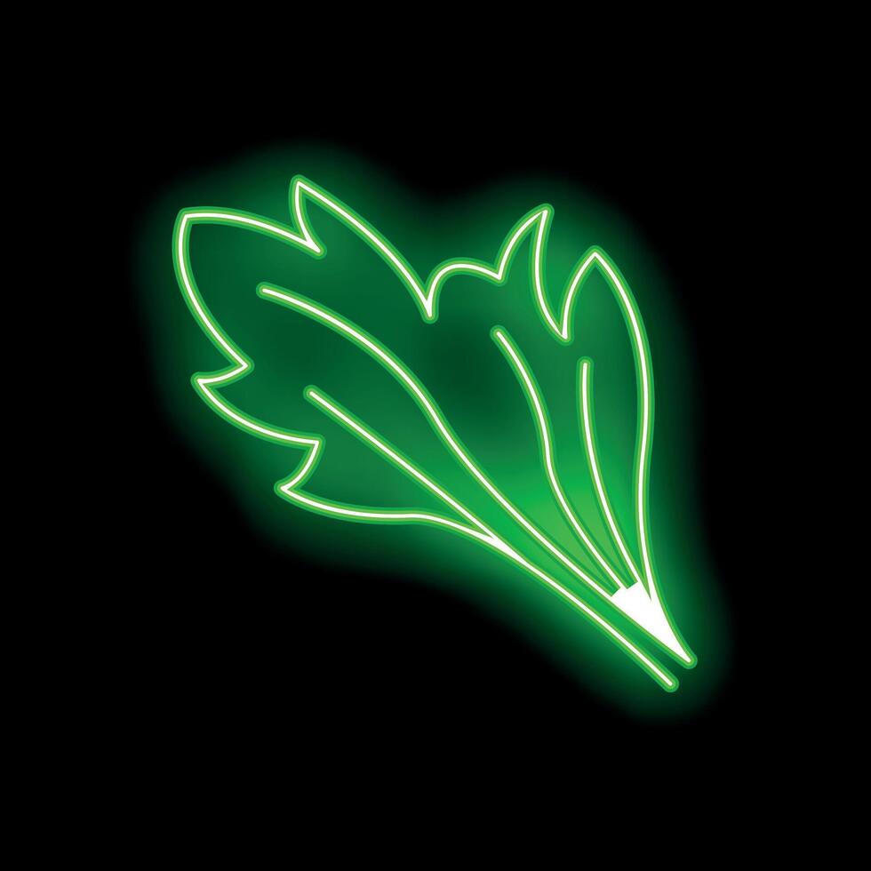 Green neon sign showing arugula leaves on black background vector
