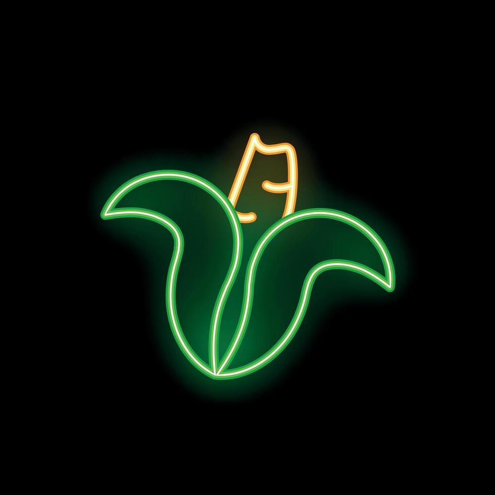 Neon sign of corncob growing in leaves is glowing on black background vector