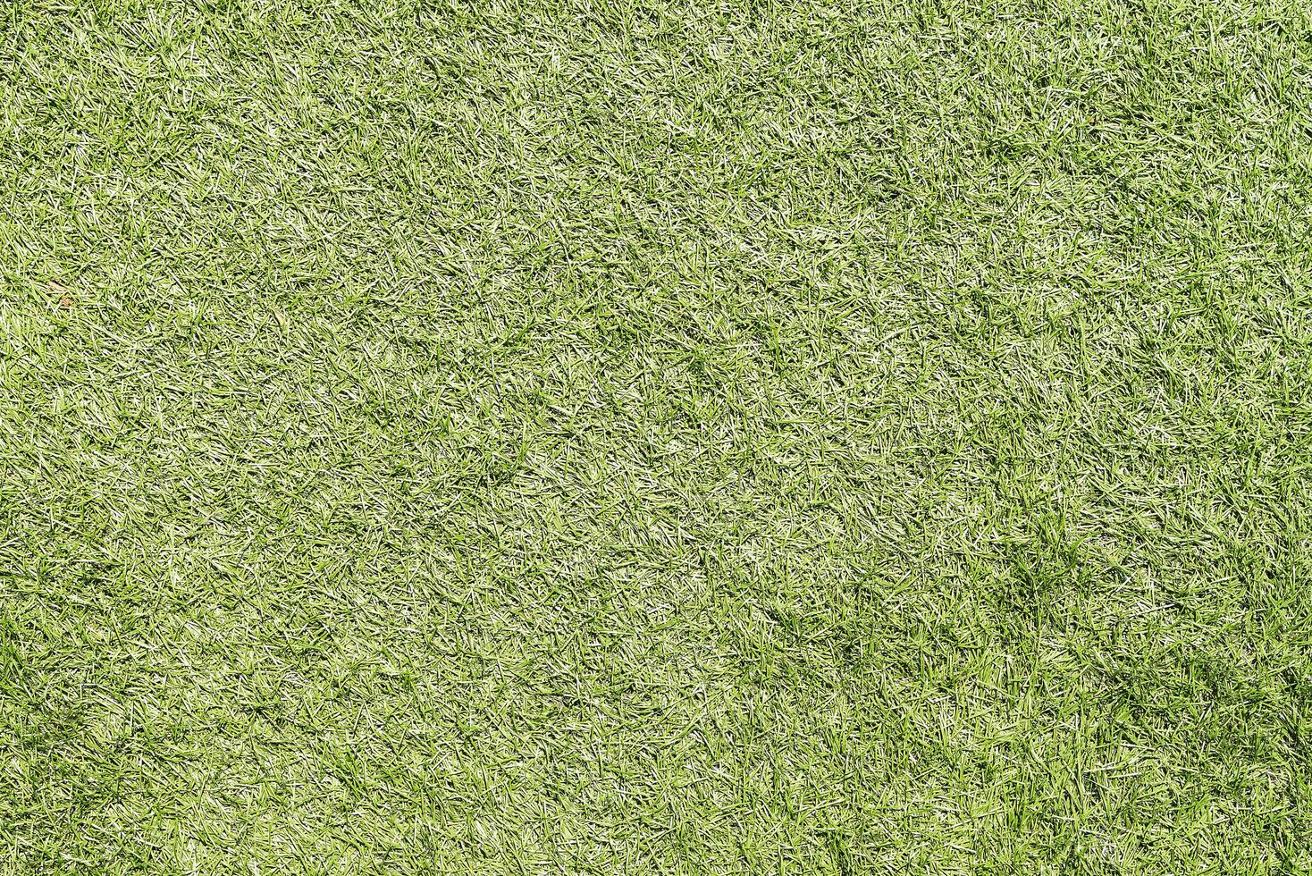 A green grass texture background photo