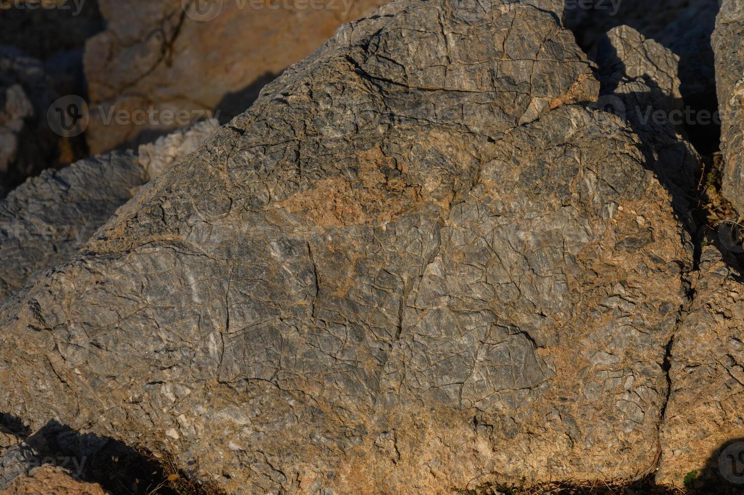 Ancient petroglyphs etched on rugged stone surfaces in a remote canyon at sunset. photo