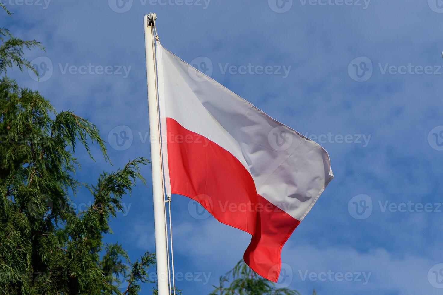 Polish flag waving proudly against a backdrop of clear blue sky and lush greenery in an idyllic landscape photo