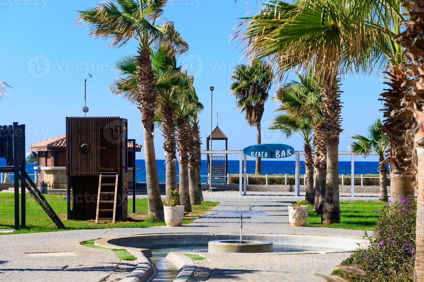 A serene coastal walkway lined with palm trees near a beach bar on a sunny day photo