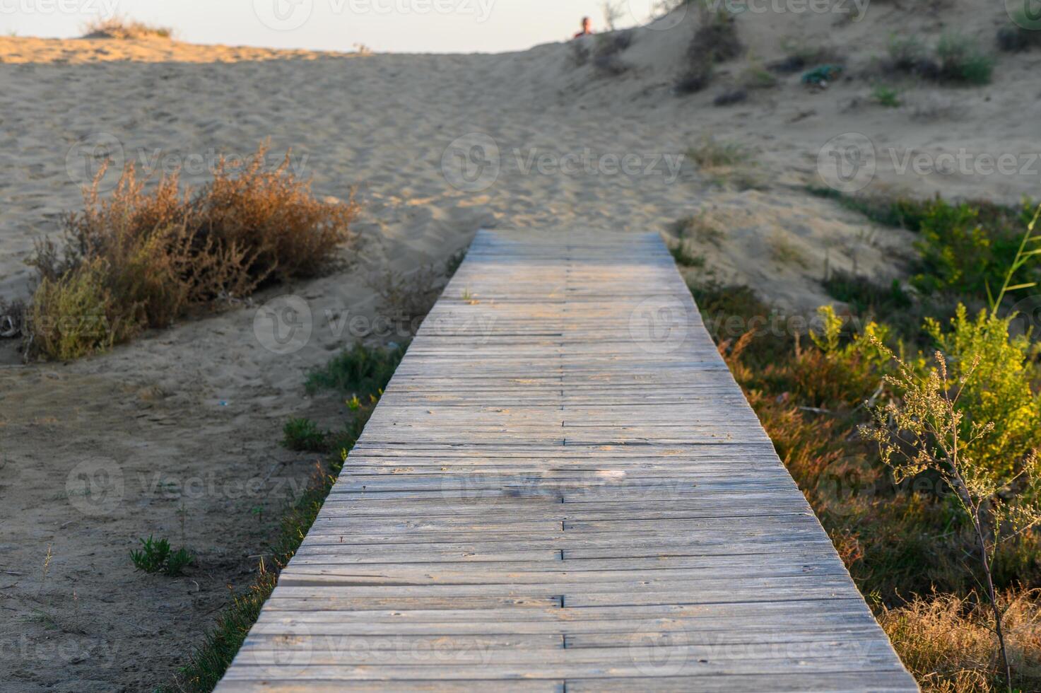 A serene wooden path leading through sandy dunes under a warm sunset glow. photo