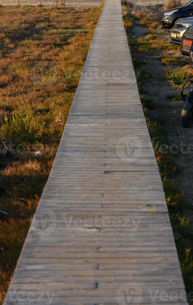 Wooden boardwalk stretches through vibrant fields at golden hour, leading toward the horizon. photo
