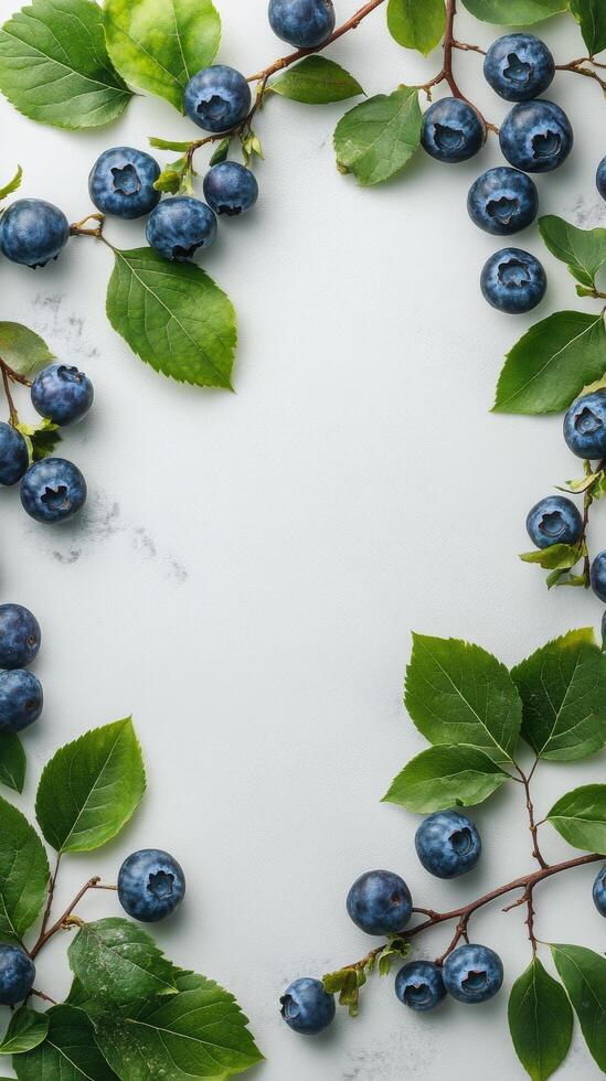 Fresh blueberries surrounded by green leaves arranged on a light background for a natural display photo
