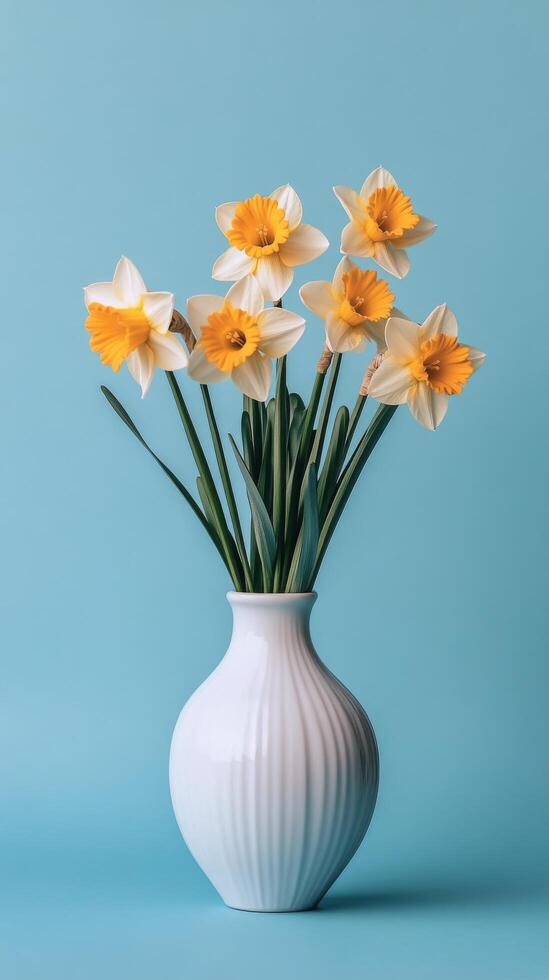 Bright yellow daffodils arranged in a white vase against a blue background in a bright setting photo