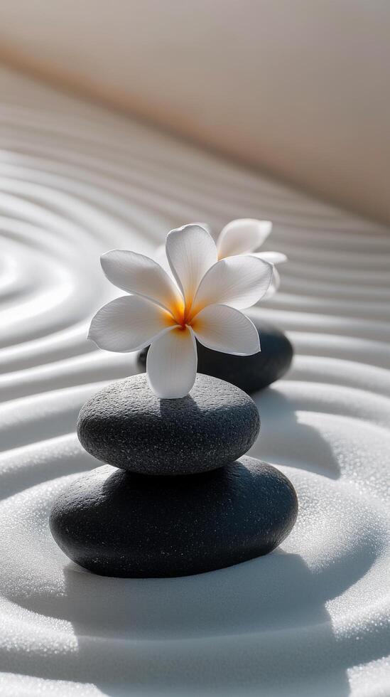 Delicate white flower placed on stacked pebbles resting on soft sand during a tranquil day photo