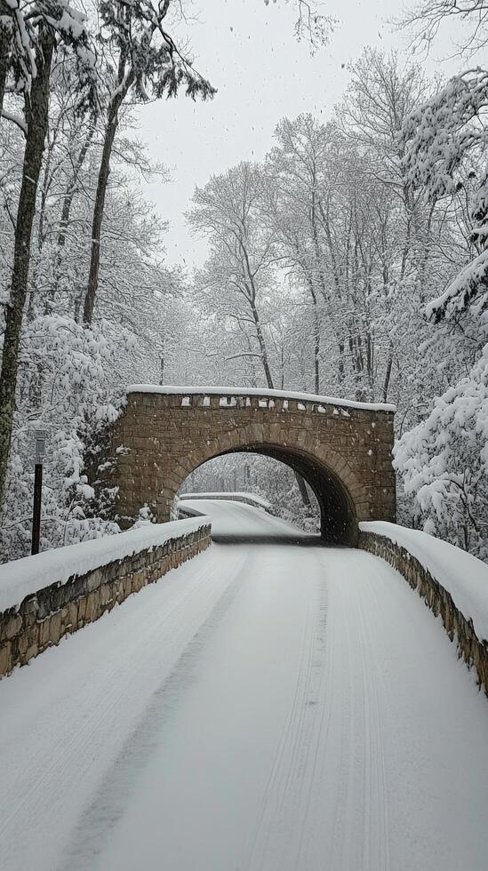 Snow covered bridge in winter forest with fresh snowfall and serene atmosphere photo