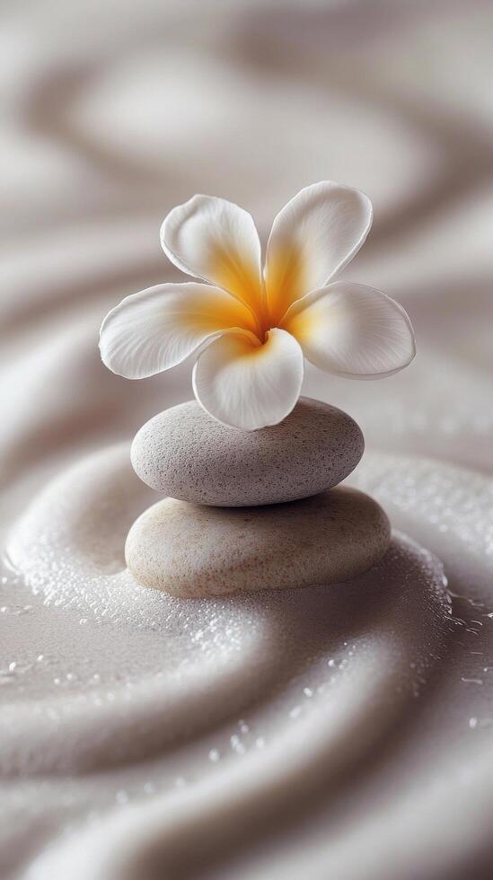 Delicate white flower placed on stacked pebbles resting on soft sand during a tranquil day photo