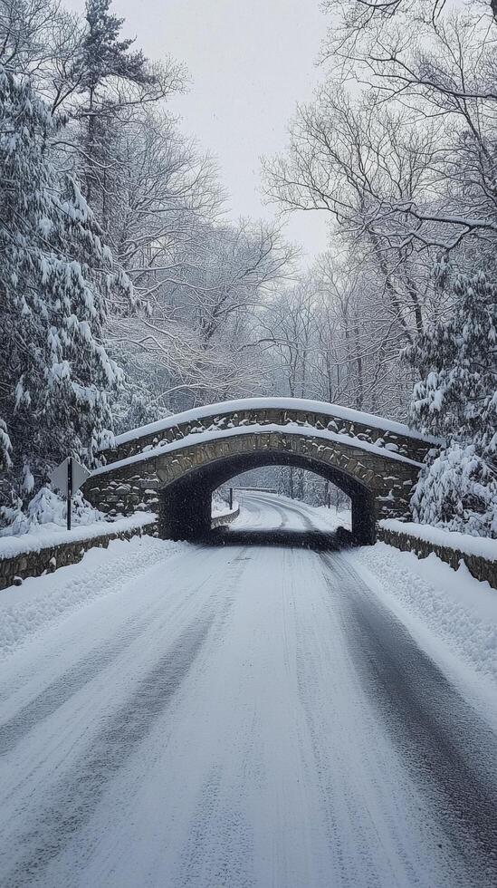 Snow covered bridge in winter forest with fresh snowfall and serene atmosphere photo
