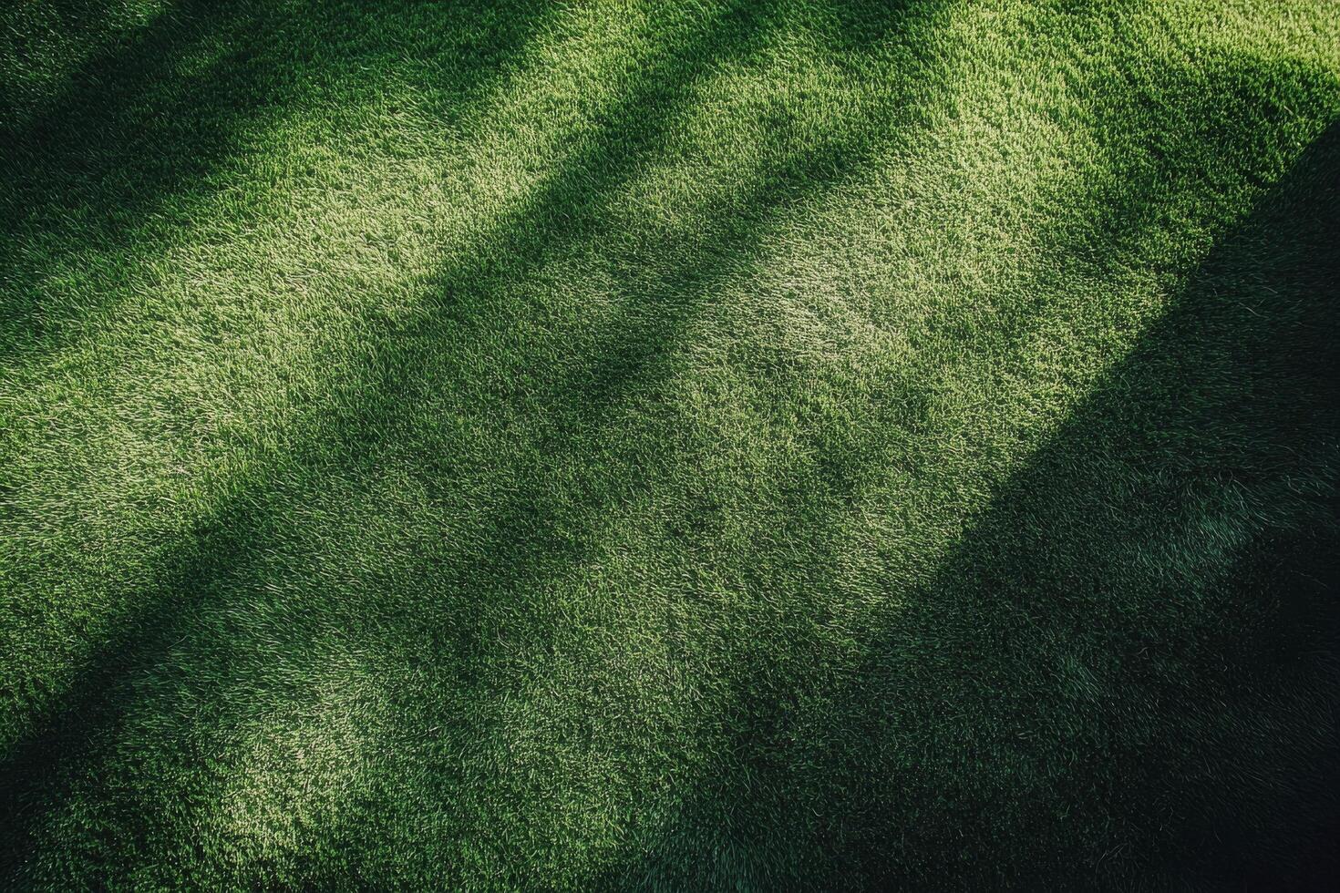 Lush green artificial turf covering a sports field under bright daylight in urban setting photo