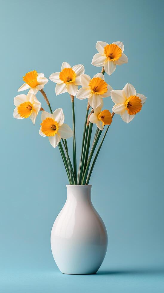 Bright yellow daffodils arranged in a white vase against a blue background in a bright setting photo