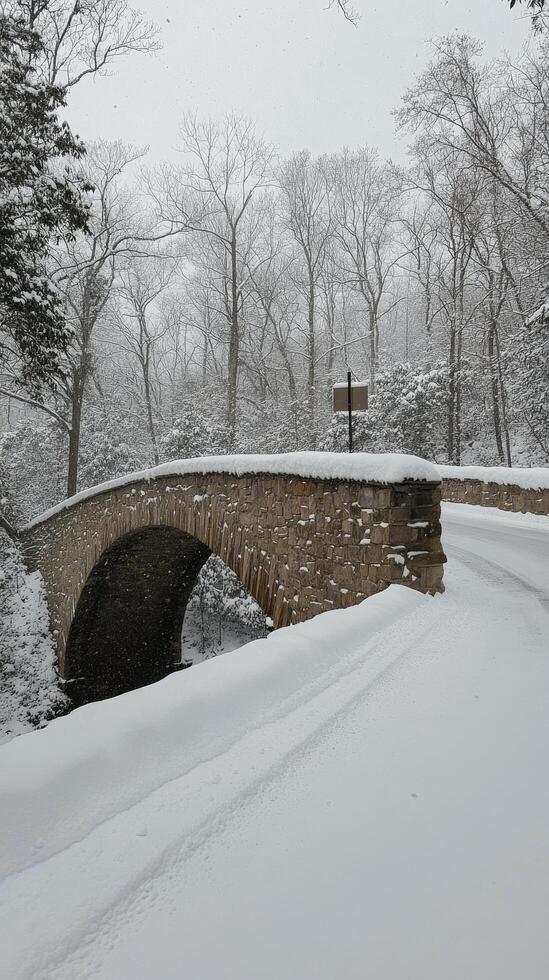 Snow covered bridge in winter forest with fresh snowfall and serene atmosphere photo