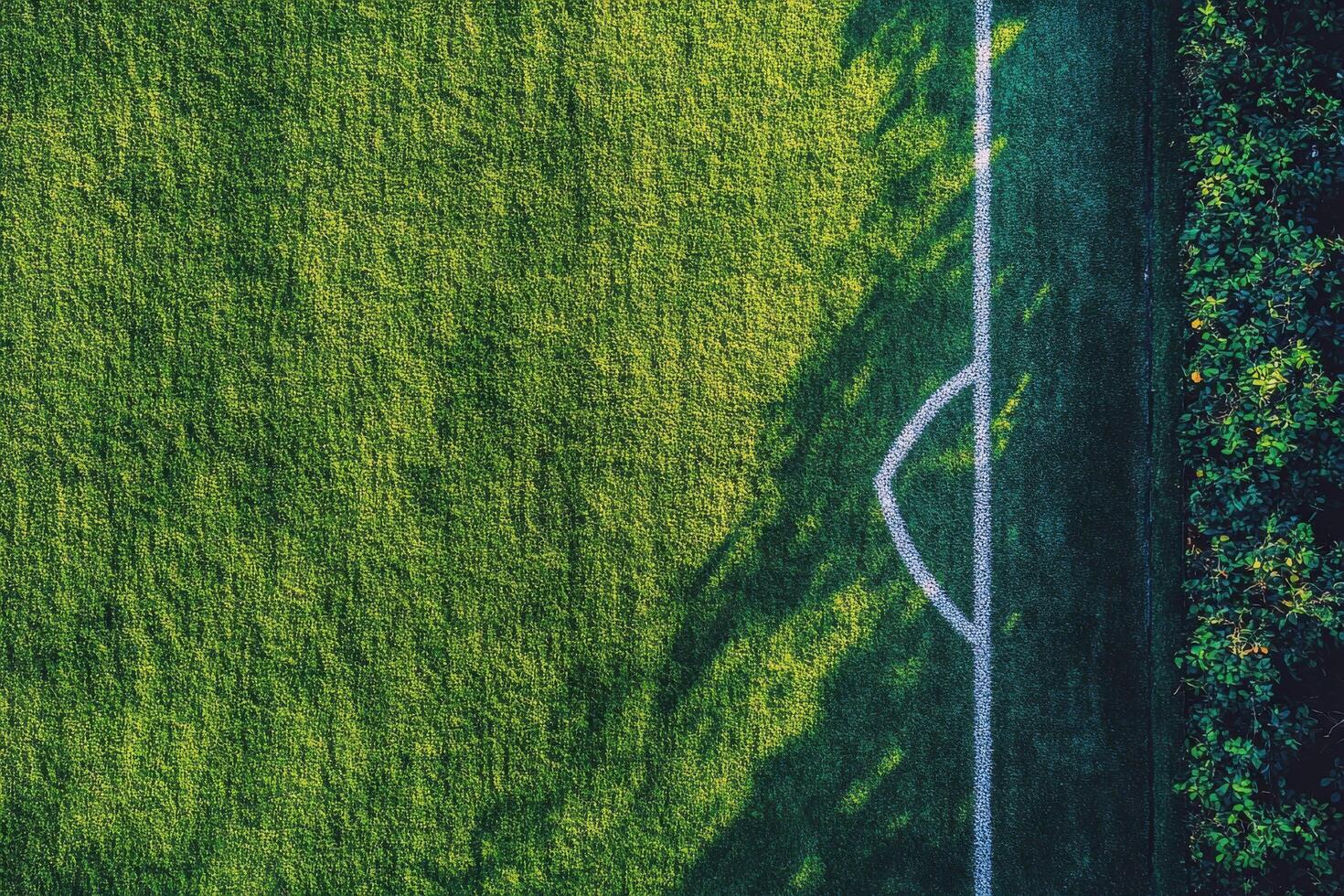 Lush green artificial turf covering a sports field under bright daylight in urban setting photo