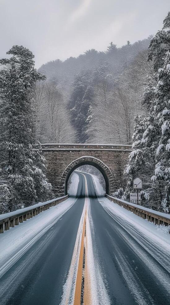 Snow covered bridge in winter forest with fresh snowfall and serene atmosphere photo