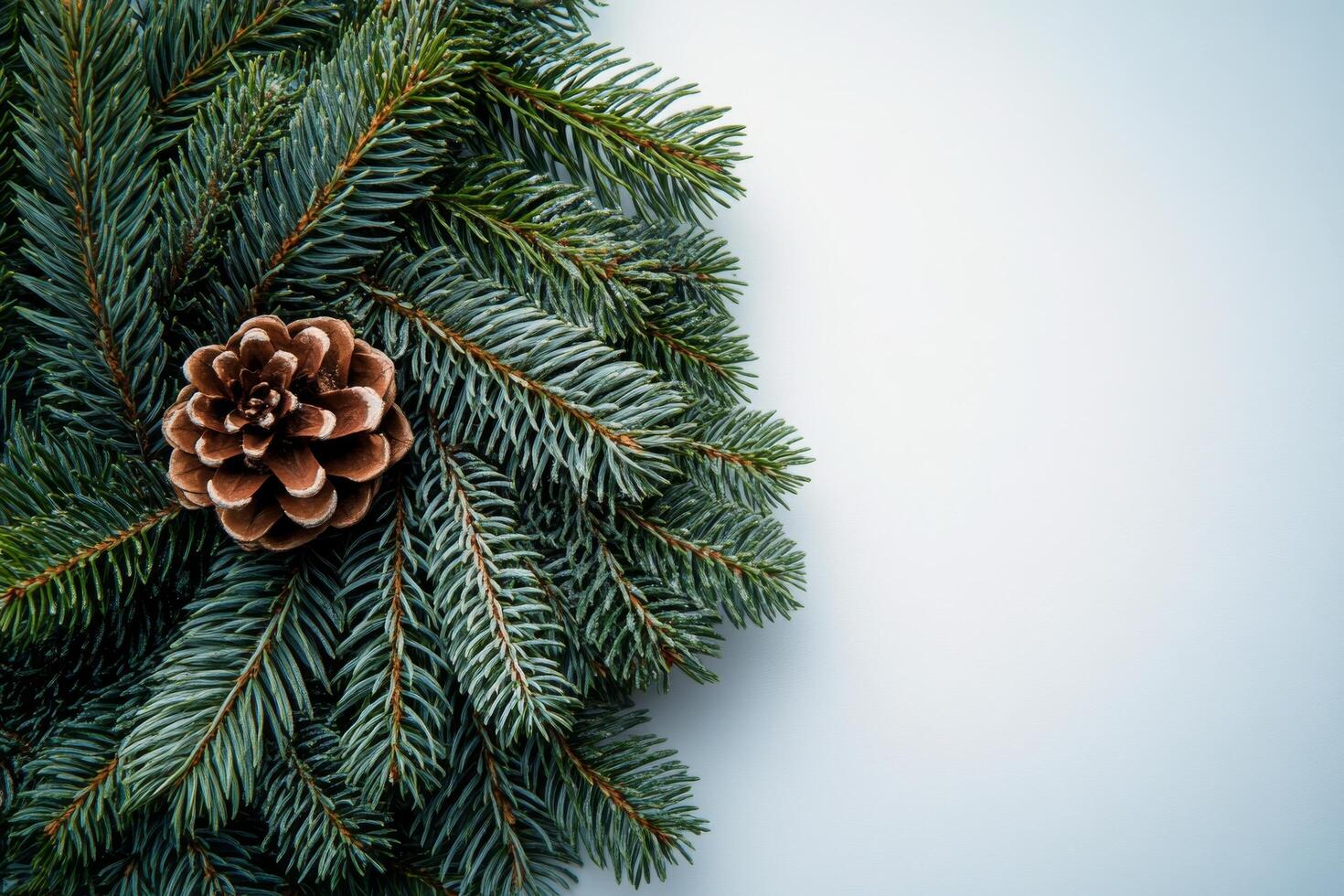 Green pine wreath with a single pine cone on a neutral background during the winter season photo