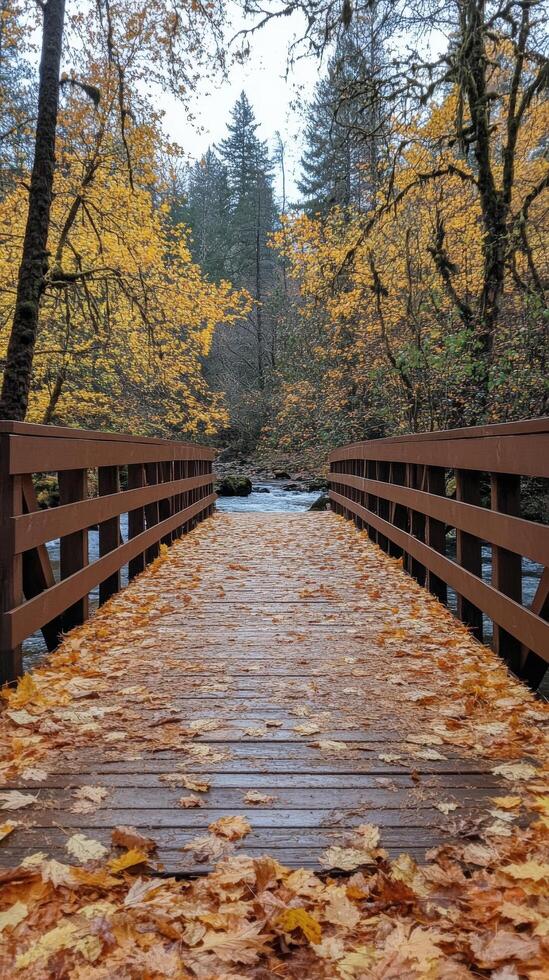 Serene wooden bridge over a stream surrounded by autumn foliage in a tranquil forest photo