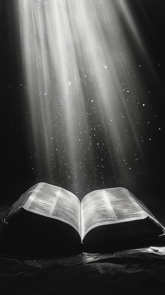 An open book emits glowing particles in a mystical setting with sunlight filtering through photo