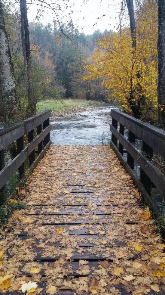 Serene wooden bridge over a stream surrounded by autumn foliage in a tranquil forest photo