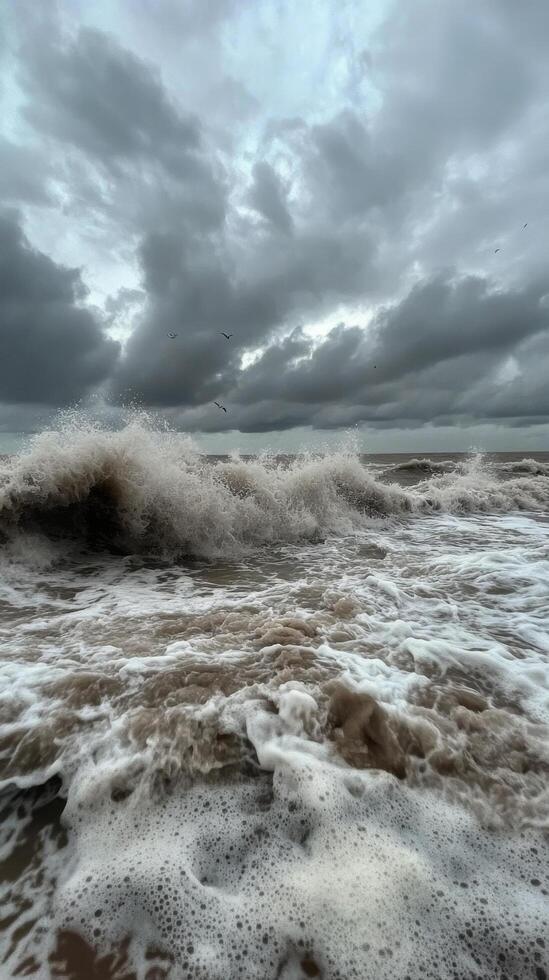 A person walks through the turbulent surf while seabirds soar overhead on a cloudy day photo