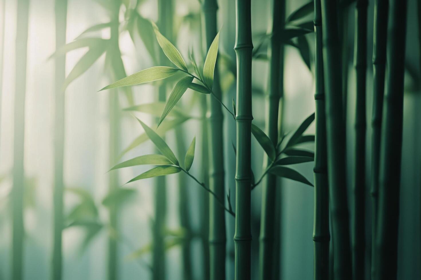 Freshly woven bamboo leaves arranged neatly on a surface under soft natural light photo