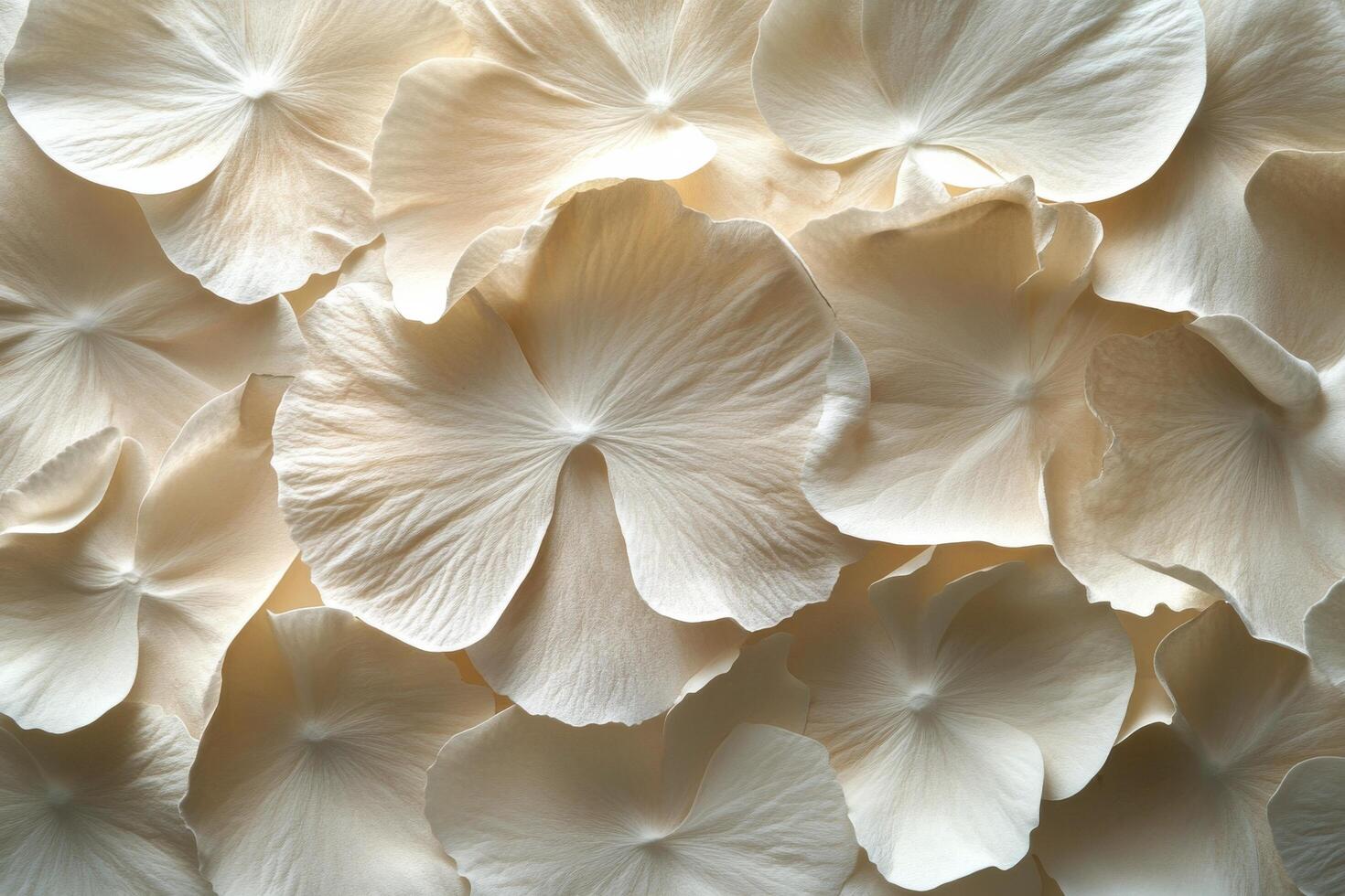 Delicate white flower petals arranged in a soft, layered pattern on a neutral background photo