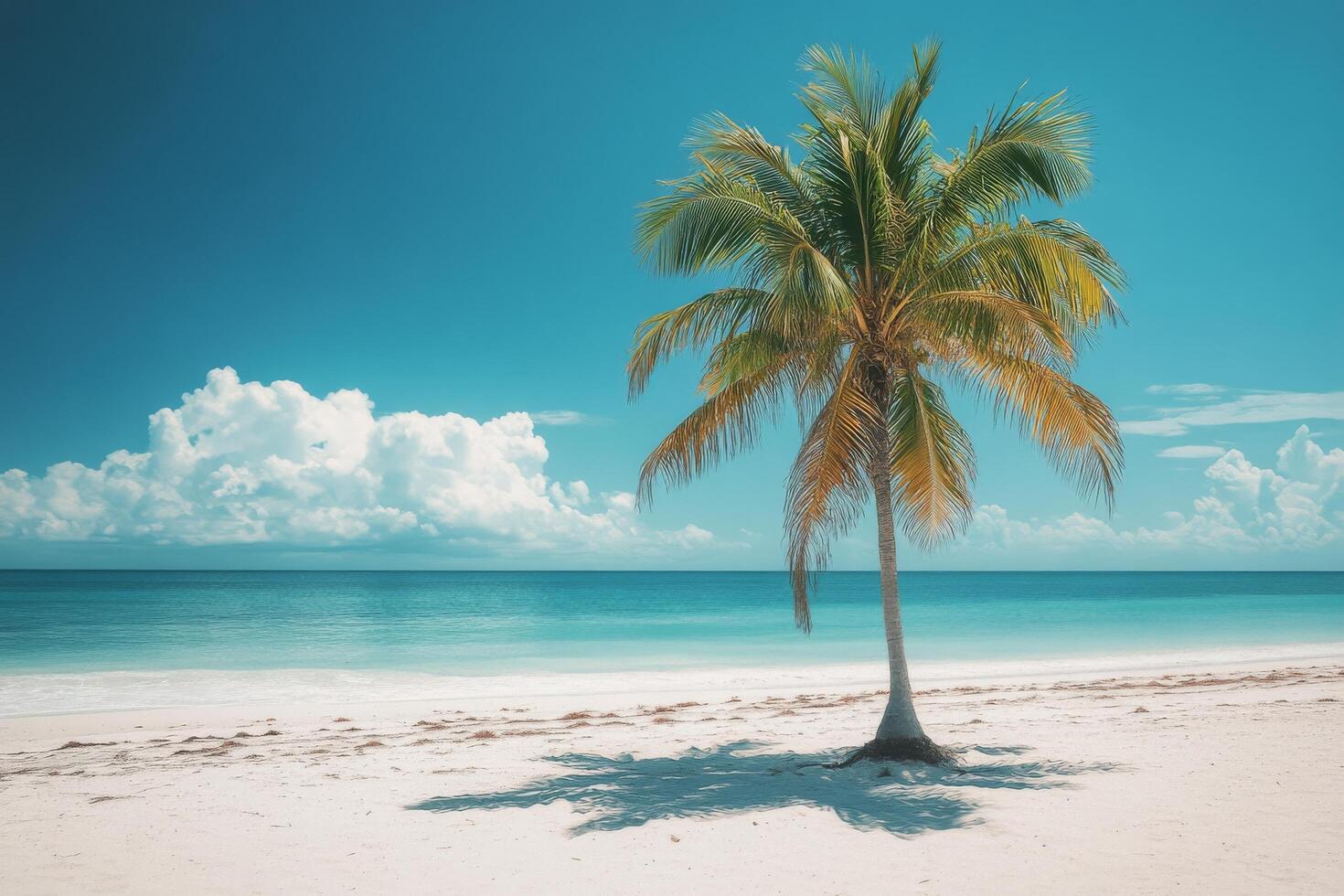A solitary palm tree on a serene beach under a clear blue sky with gentle waves in the background photo