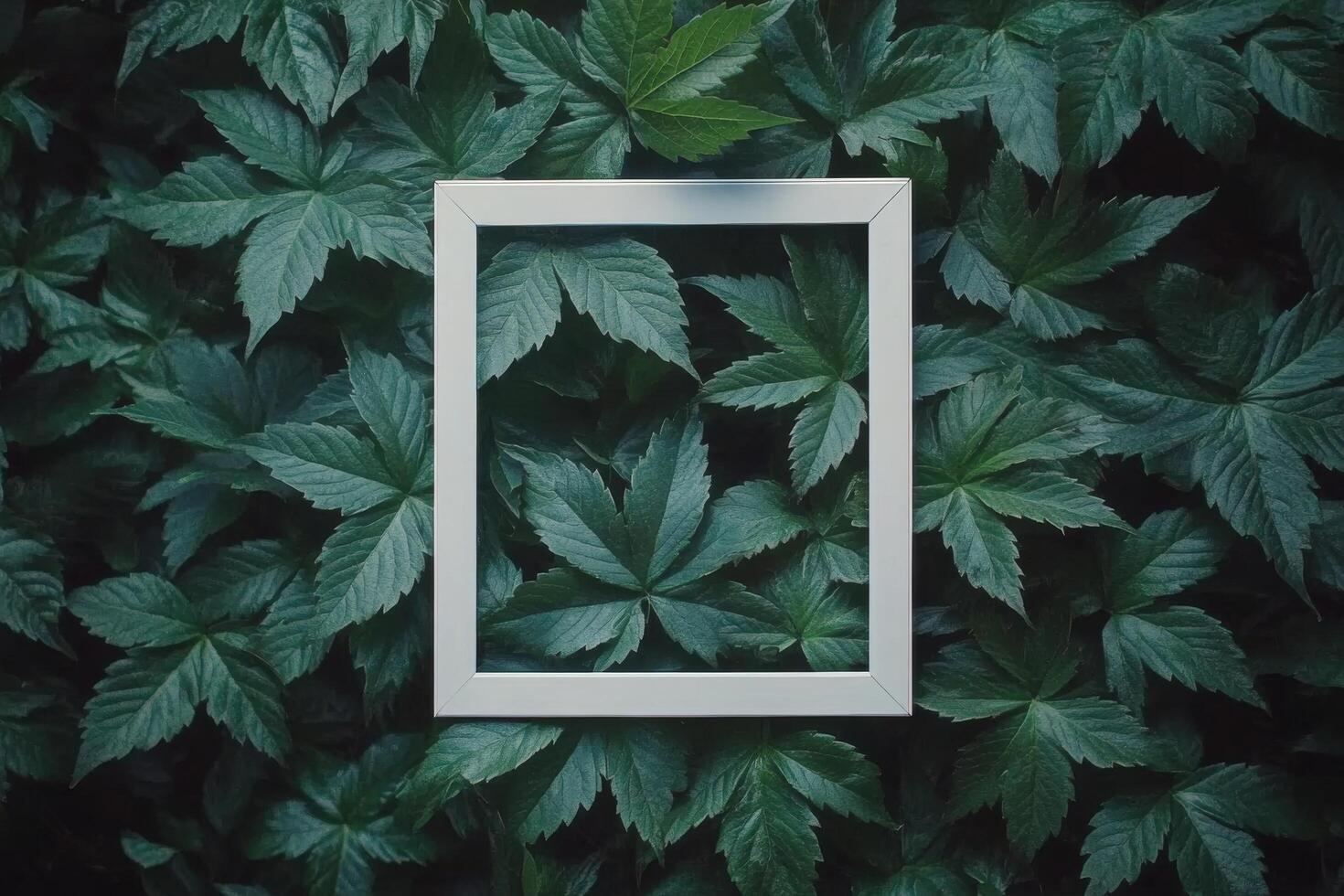 A serene face framed by lush green leaves in an outdoor setting during daylight hours photo