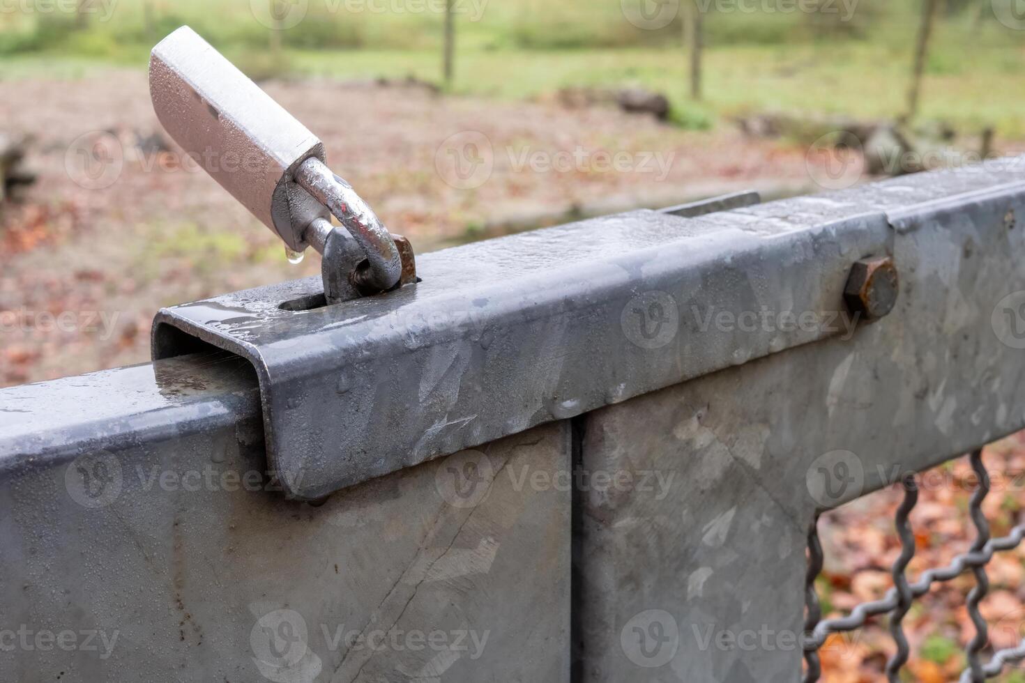 Secure metal gate closed with padlock in wet rural area photo