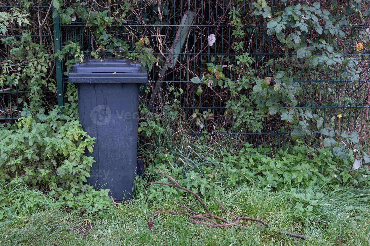 Garbage bin standing next to a metal fence and overgrown with plants photo