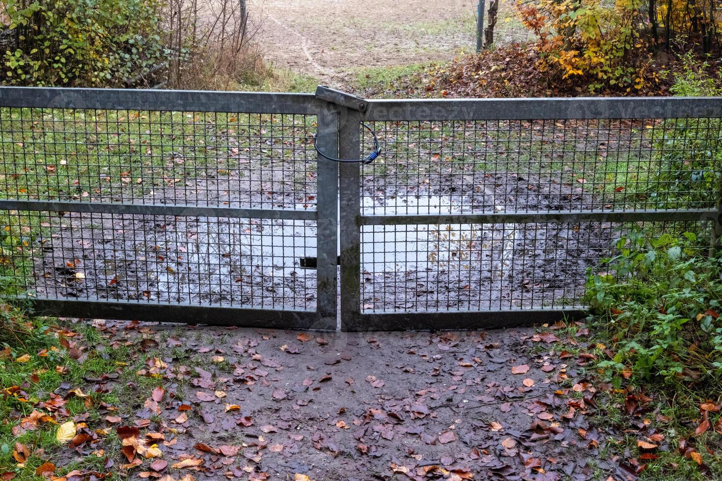 Closed metal gate preventing access to muddy puddle in autumn photo