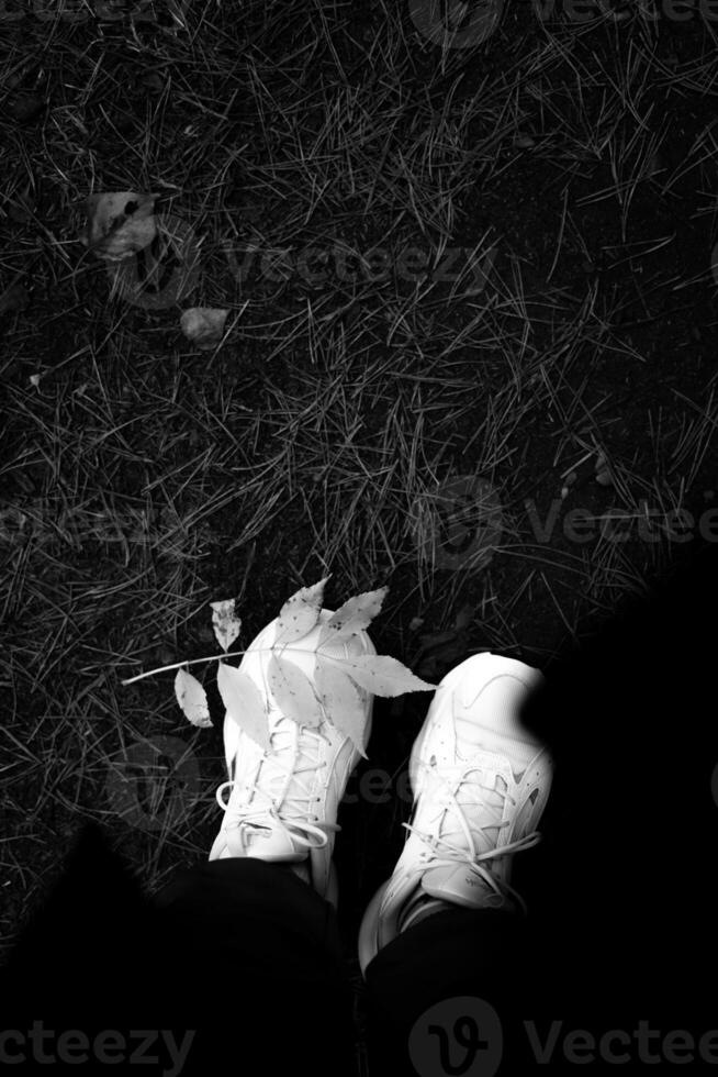 White sneakers blend with fallen leaves on grass during autumn photo