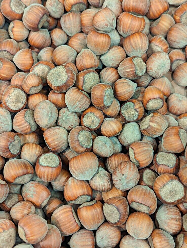 Close-up of a large collection of hazelnuts showing their textured shells photo