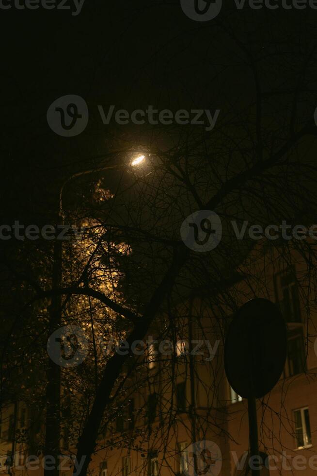 Streetlight illuminating a quiet urban street at night in autumn season photo