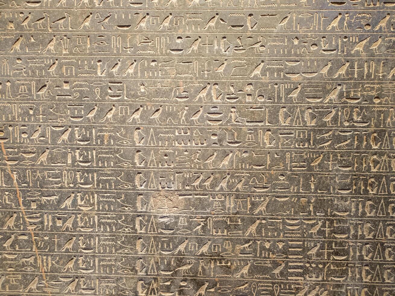 19.10.24 Giza, Egypt Largest Archaeological Exhibition in GEM Grand Egyptian Museum in Giza Egypt photo