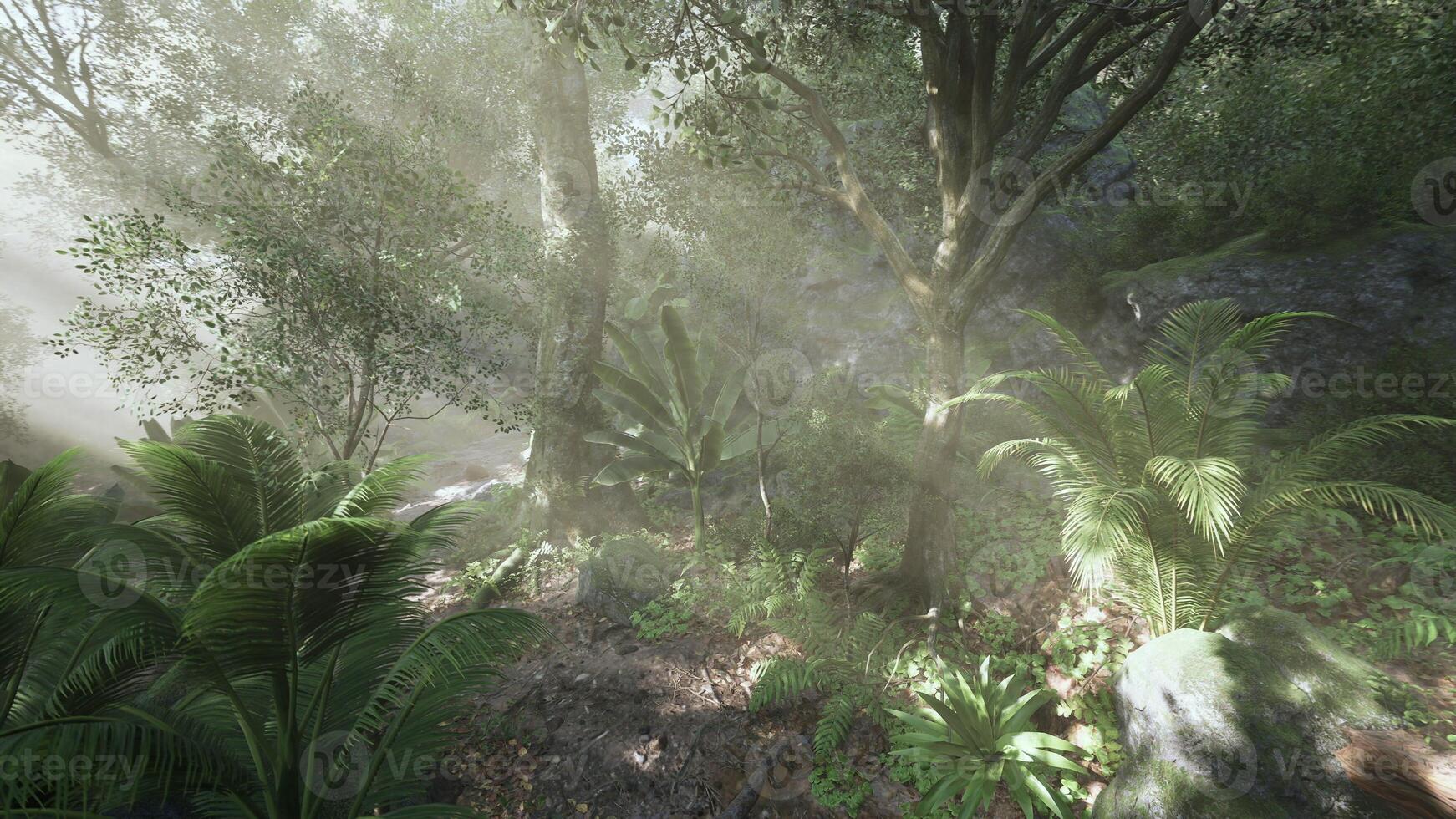 Lush forest landscape with sunlight filtering through trees at midday photo