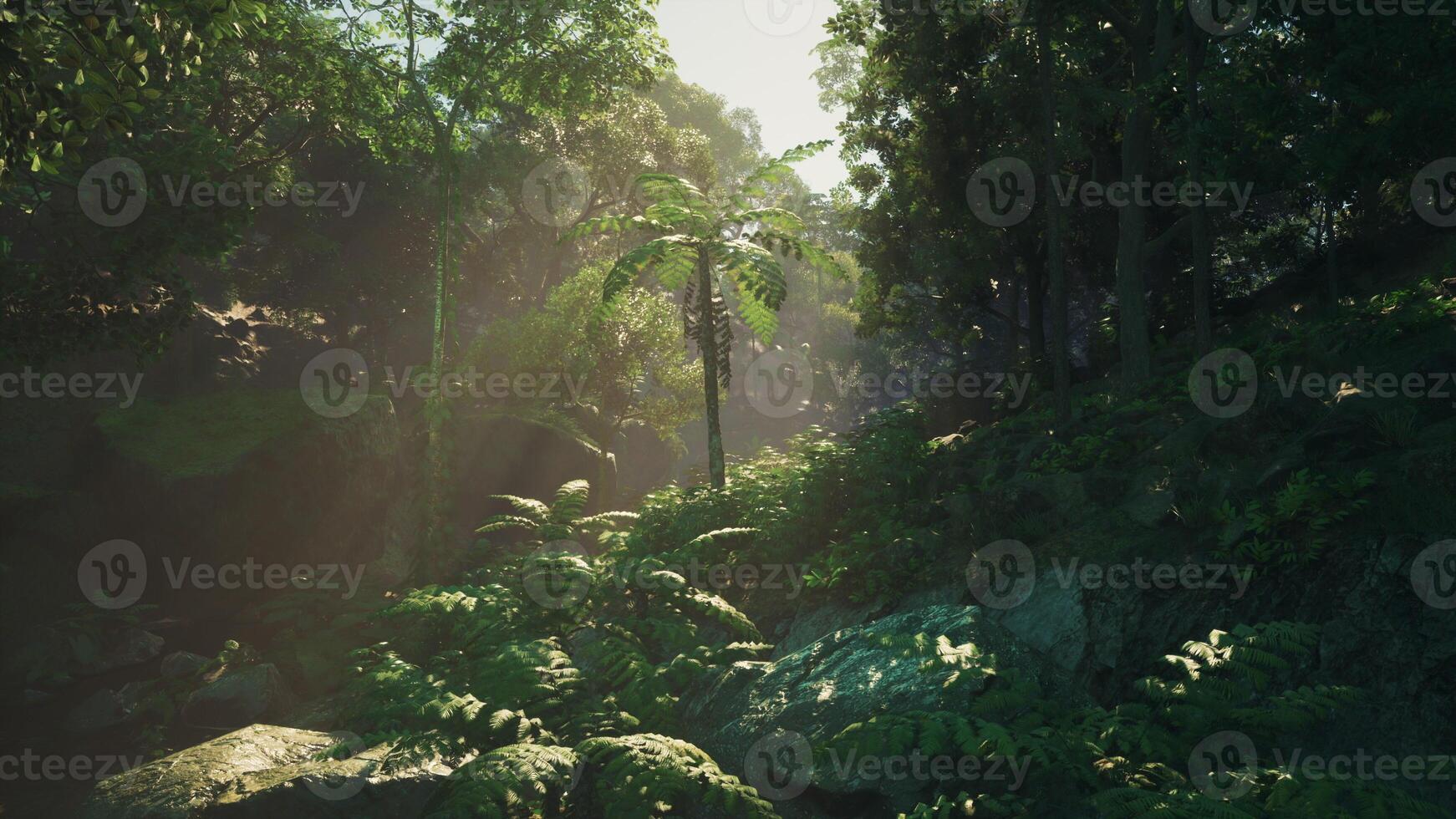 Sunbeams Glimmer Through Enchanted Jungle Canopy. dark forest photo