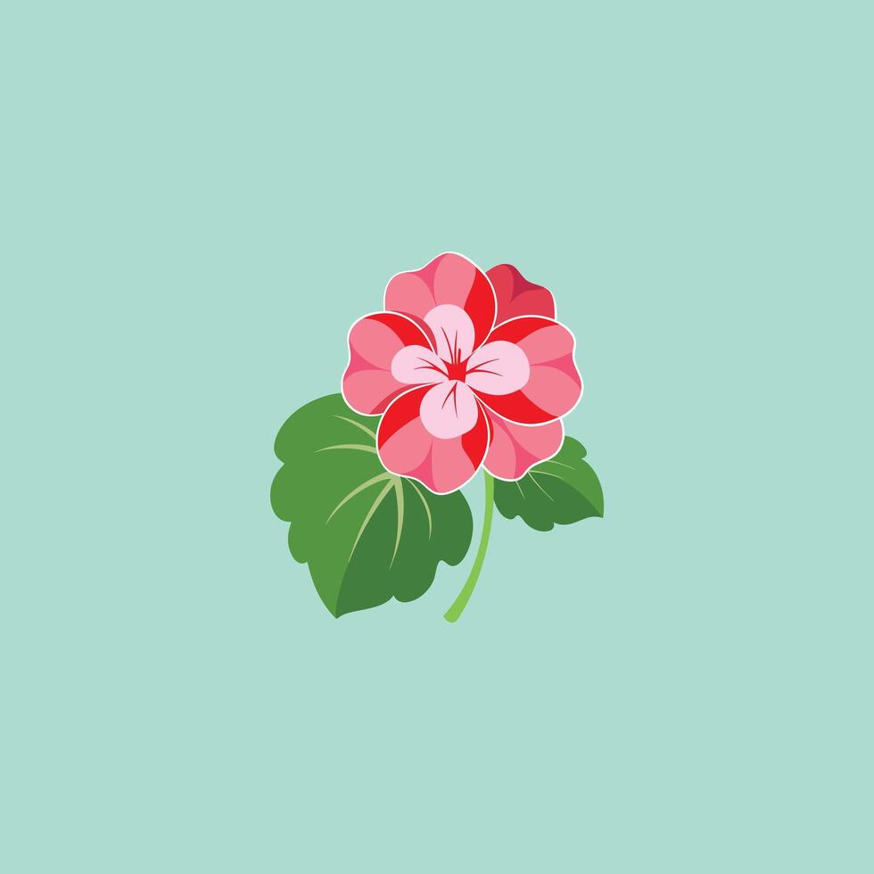 geranium flower illustration vector
