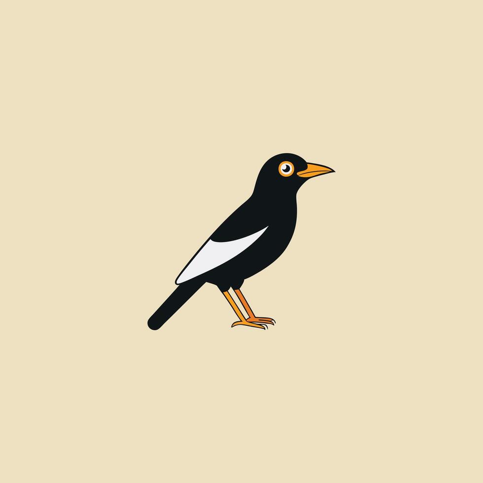 Indian starling isolated on background vector