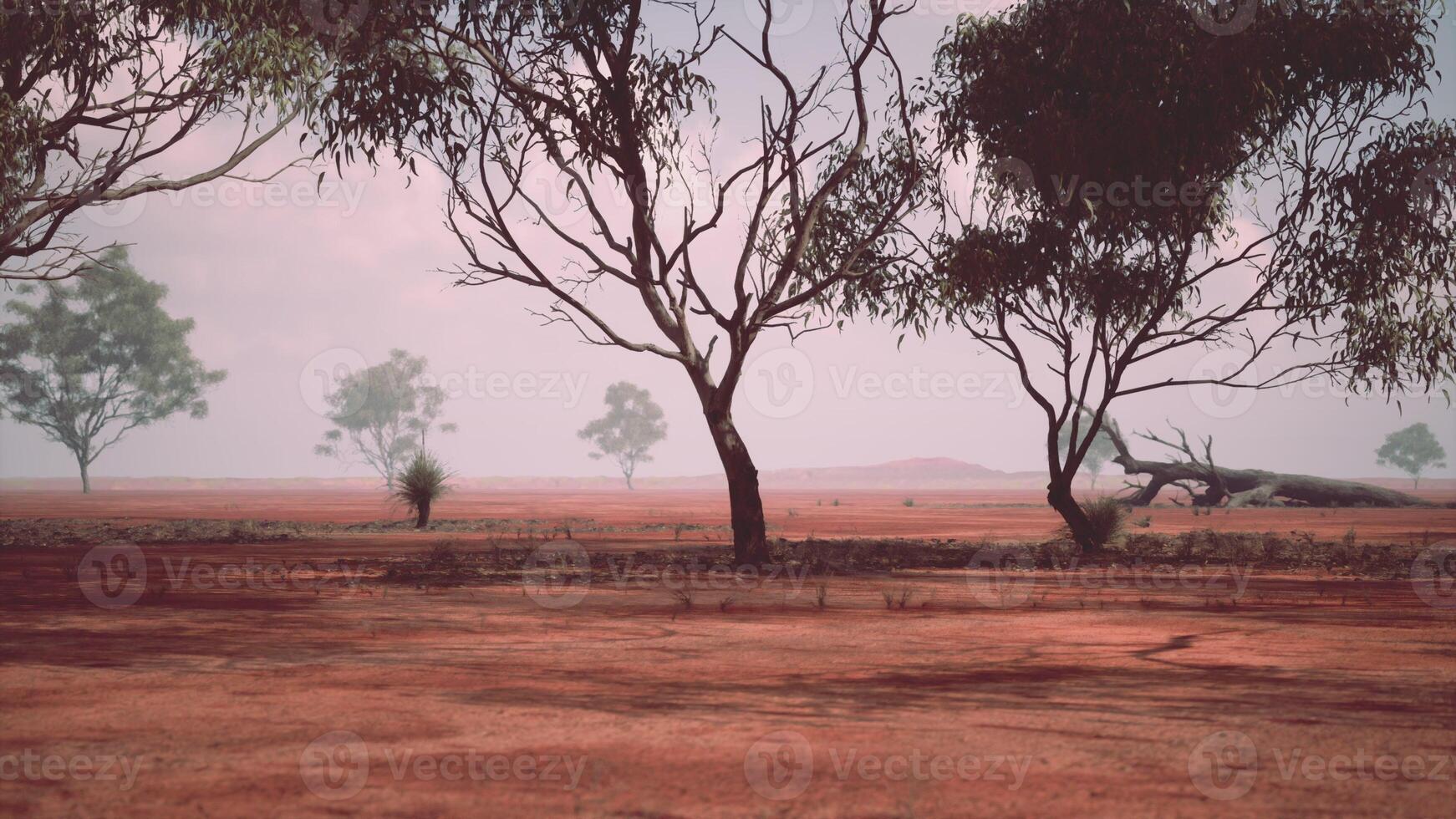 A rural landscape with trees in a vast open field photo