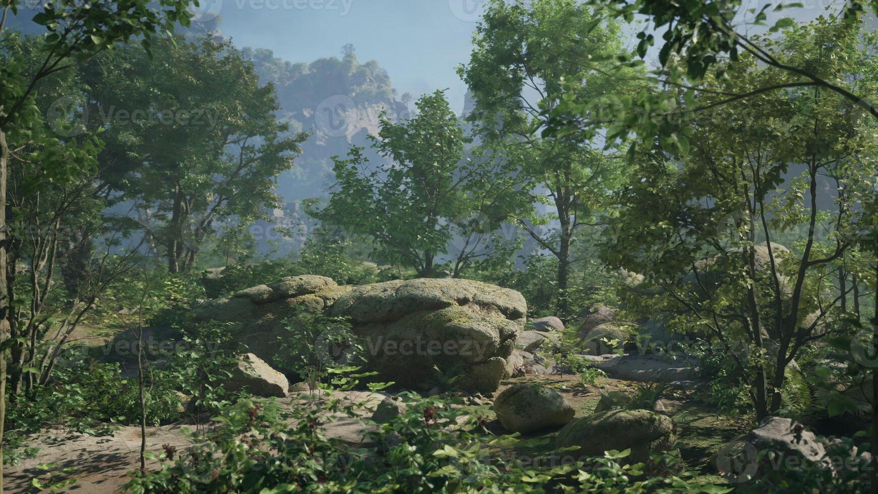 A forest filled with lots of rocks and trees photo