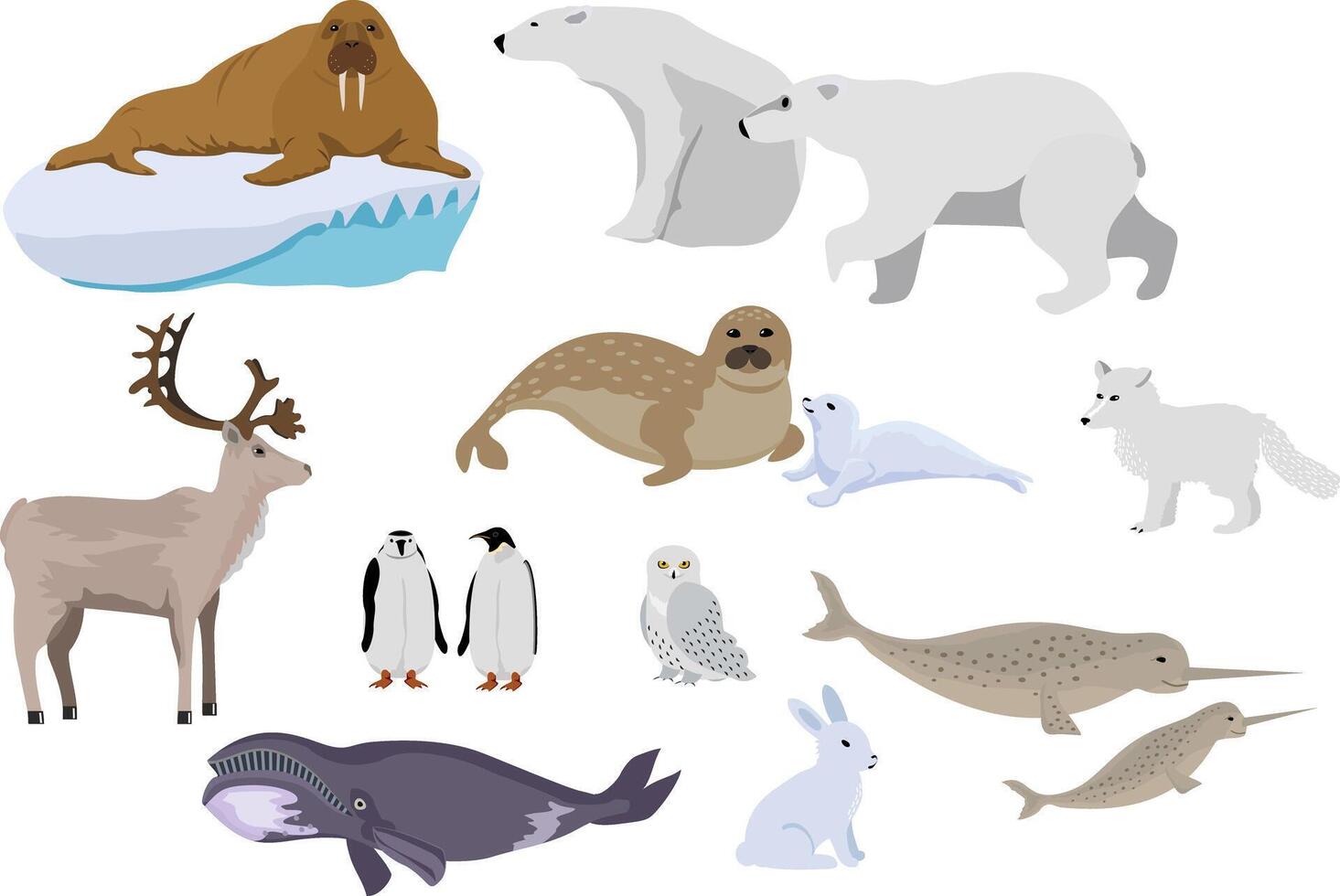 Arctic creature cartoon. Polar animals. collection of polar animals and birds, including polar bear, seal, walrus, polar fox, reindeer, penguin. vector