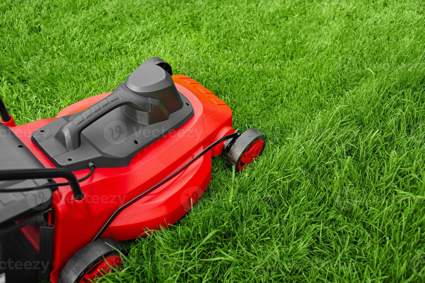 An electric red and black lawnmower mows green grass. Work near your home in the garden. photo