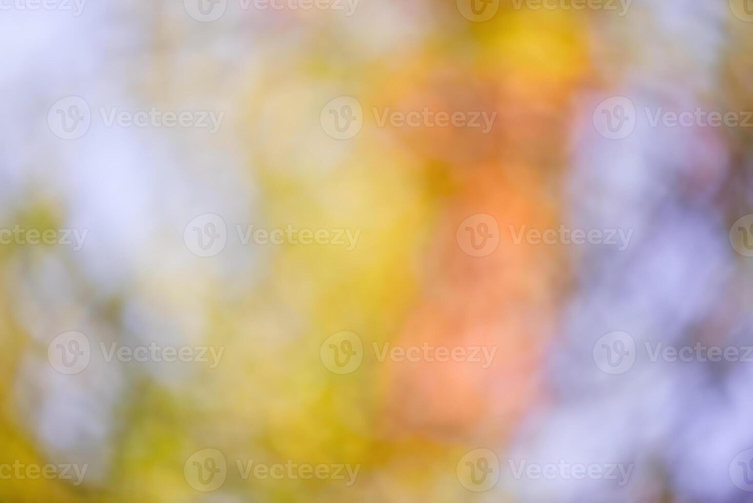 Autumn defocus light background. The blurred leaves of the trees are yellow, red and green photo