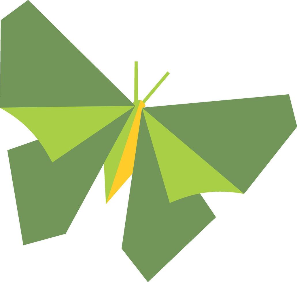 A green butterfly with yellow wings vector