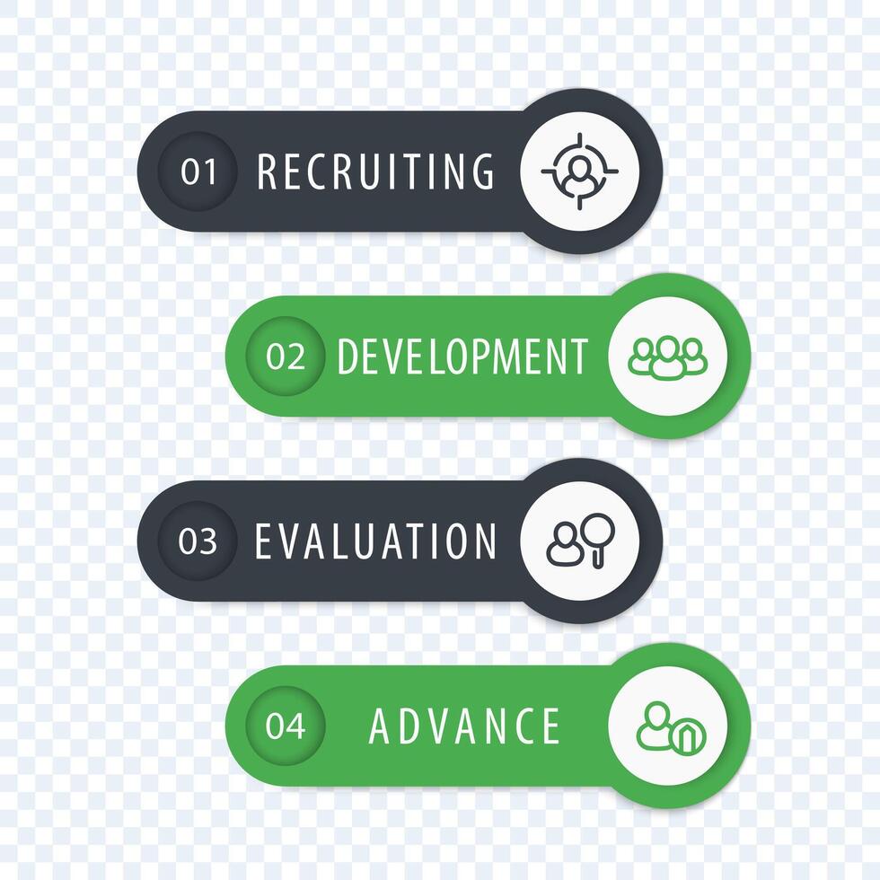 Staff, HR, employee development 1, 2, 3, 4 steps, infographics elements with line icons, labels and banners in gray and green vector