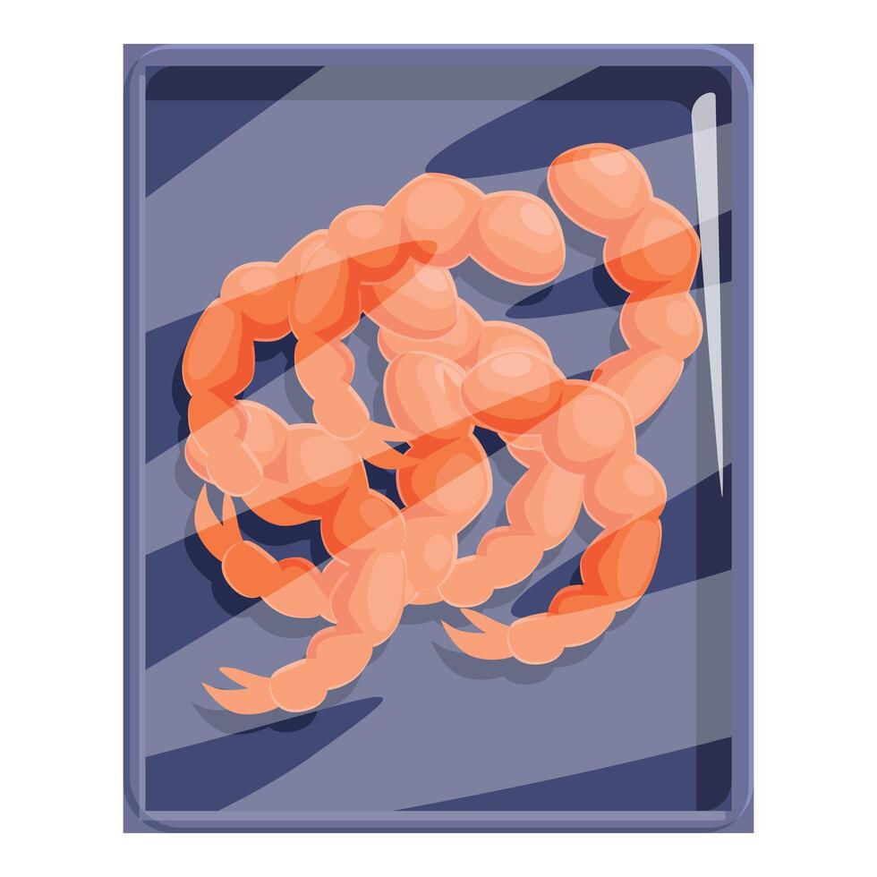 Fresh peeled shrimps packed in plastic tray for sale vector