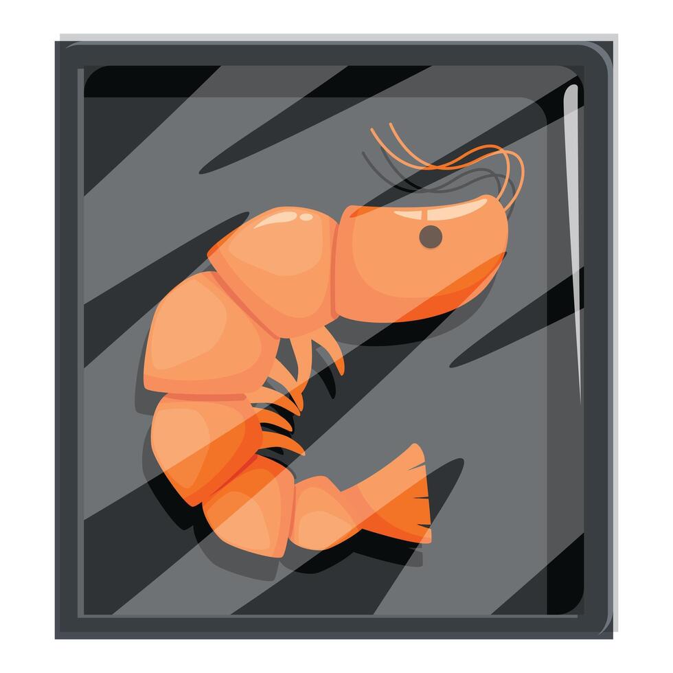 Fresh shrimp vacuum packed in plastic tray for retail vector