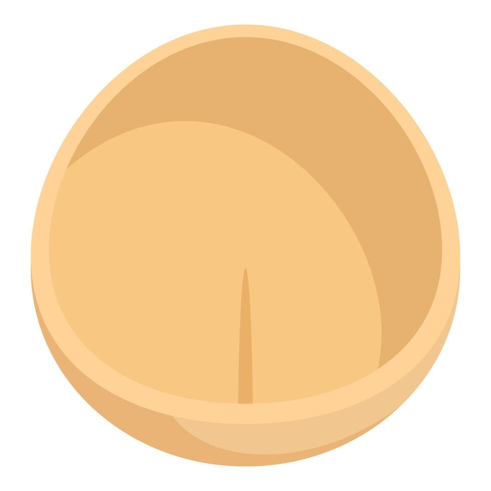 Half macadamia nut isolated on white background vector