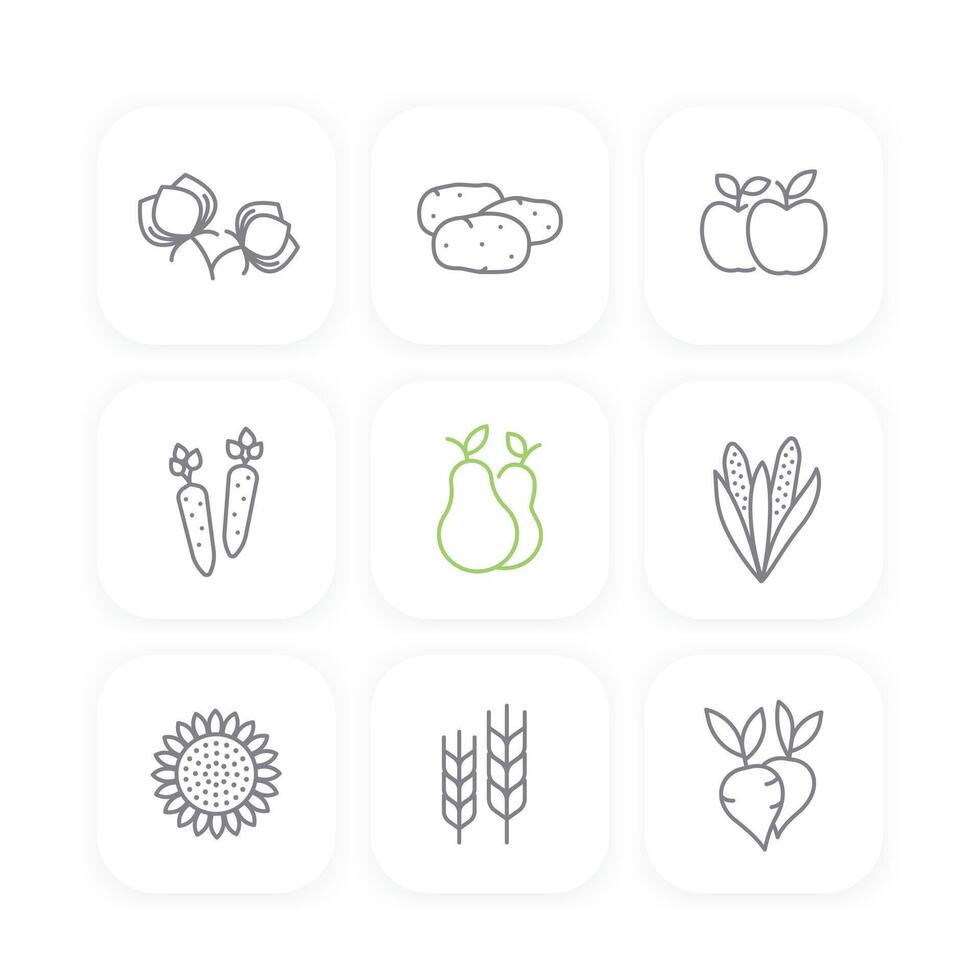 Harvest line icons set, potato, carrots, pears, apple, corn, sunflower, barley vector